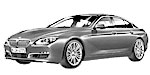 BMW F06 U3163 Fault Code